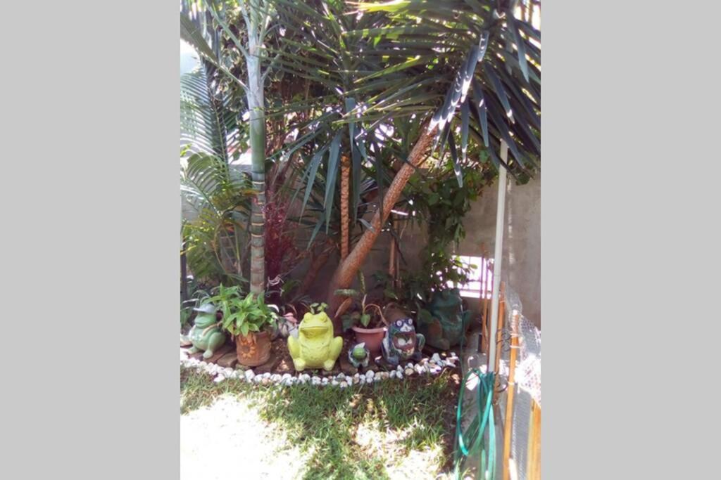 Bienvenidos A La Blanca Mérida Dış mekan fotoğraf